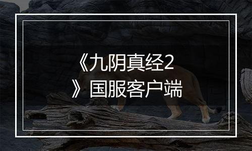 《九阴真经2》国服客户端