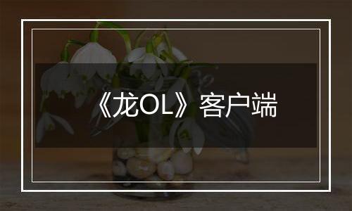 《龙OL》客户端