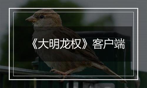 《大明龙权》客户端