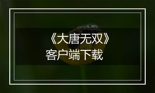《大唐无双》客户端下载