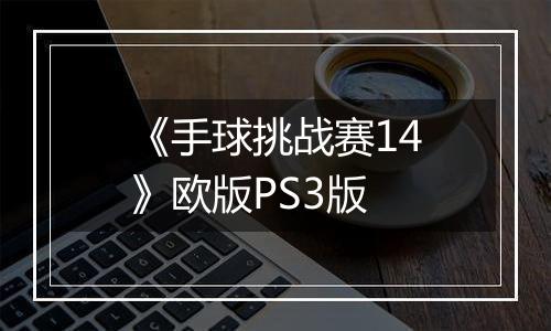 《手球挑战赛14》欧版PS3版