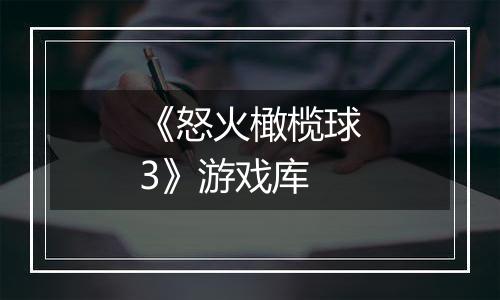 《怒火橄榄球3》游戏库