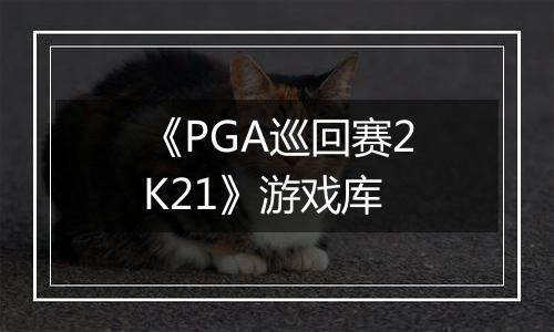 《PGA巡回赛2K21》游戏库