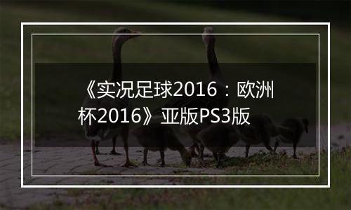 《实况足球2016：欧洲杯2016》亚版PS3版