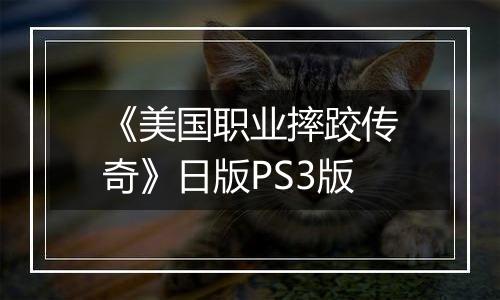 《美国职业摔跤传奇》日版PS3版