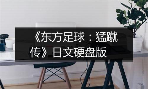 《东方足球：猛蹴传》日文硬盘版
