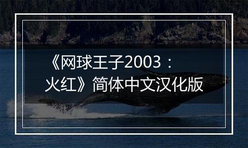 《网球王子2003：火红》简体中文汉化版
