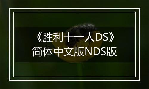《胜利十一人DS》简体中文版NDS版