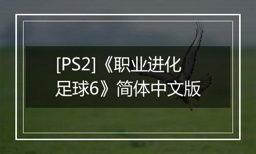 [PS2]《职业进化足球6》简体中文版