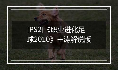 [PS2]《职业进化足球2010》王涛解说版
