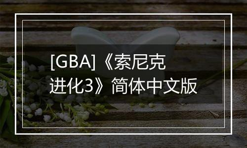 [GBA]《索尼克进化3》简体中文版