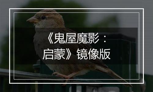 《鬼屋魔影：启蒙》镜像版