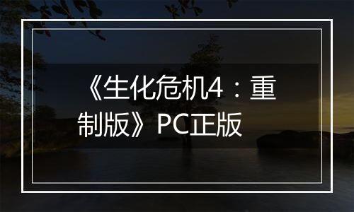 《生化危机4：重制版》PC正版