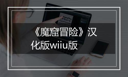 《魔窟冒险》汉化版wiiu版