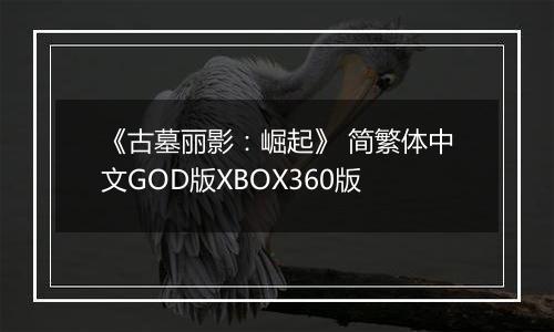 《古墓丽影：崛起》 简繁体中文GOD版XBOX360版