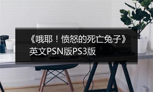 《哦耶！愤怒的死亡兔子》 英文PSN版PS3版