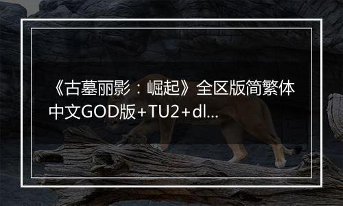 《古墓丽影：崛起》全区版简繁体中文GOD版+TU2+dlcXBOX360版