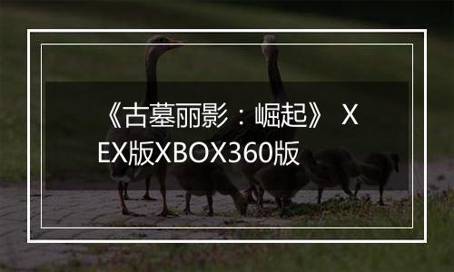 《古墓丽影：崛起》 XEX版XBOX360版