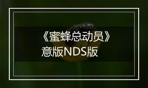 《蜜蜂总动员》 意版NDS版