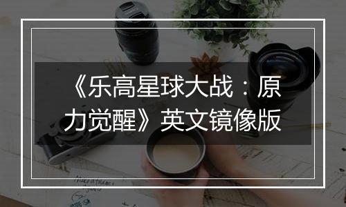 《乐高星球大战：原力觉醒》英文镜像版