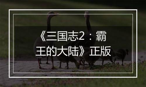 《三国志2：霸王的大陆》正版