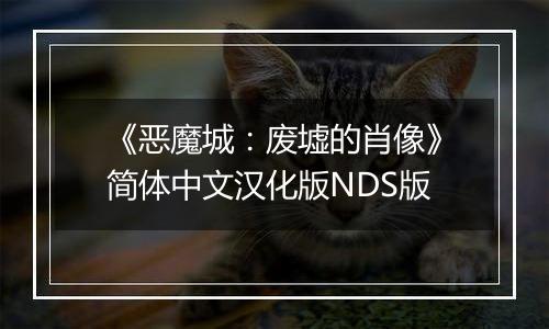 《恶魔城：废墟的肖像》简体中文汉化版NDS版