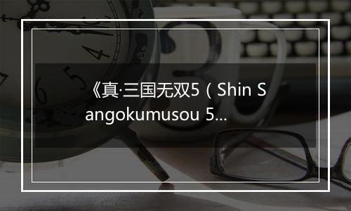 《真·三国无双5（Shin Sangokumusou 5）》