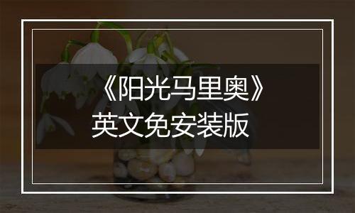 《阳光马里奥》英文免安装版