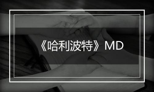 《哈利波特》MD
