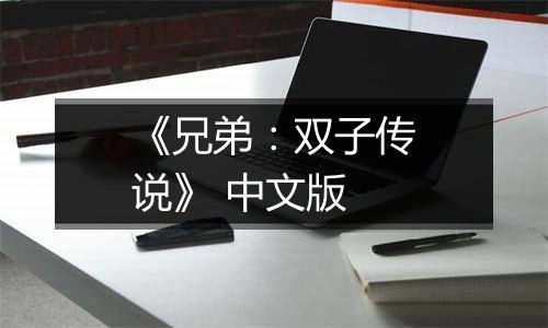 《兄弟：双子传说》 中文版
