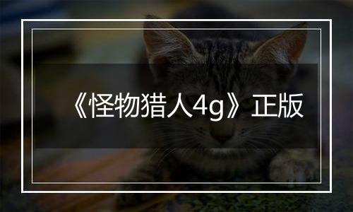 《怪物猎人4g》正版