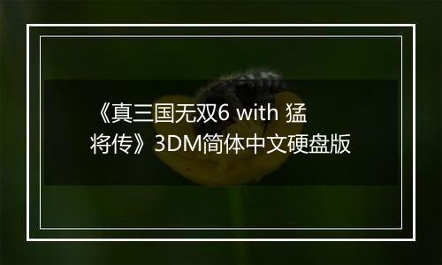 《真三国无双6 with 猛将传》3DM简体中文硬盘版