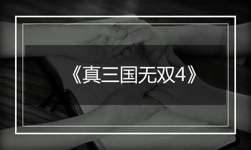 《真三国无双4》