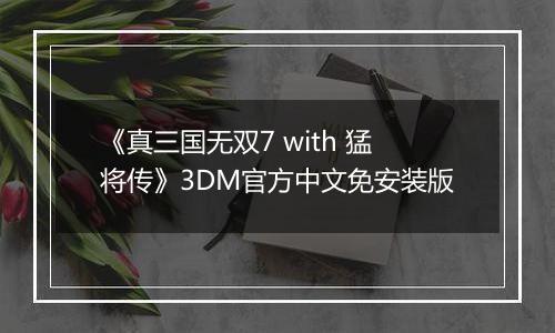 《真三国无双7 with 猛将传》3DM官方中文免安装版
