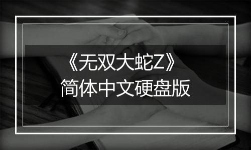 《无双大蛇Z》简体中文硬盘版