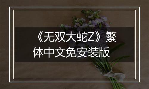 《无双大蛇Z》繁体中文免安装版