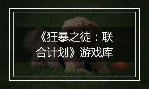 《狂暴之徒：联合计划》游戏库
