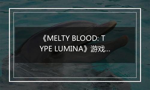 《MELTY BLOOD: TYPE LUMINA》游戏库