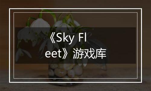 《Sky Fleet》游戏库
