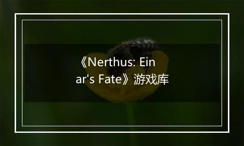 《Nerthus: Einar's Fate》游戏库