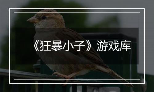 《狂暴小子》游戏库