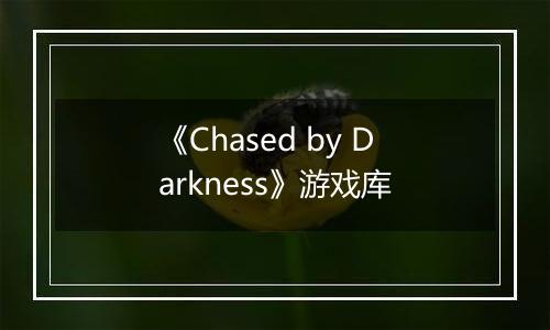 《Chased by Darkness》游戏库