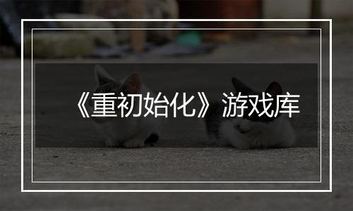 《重初始化》游戏库