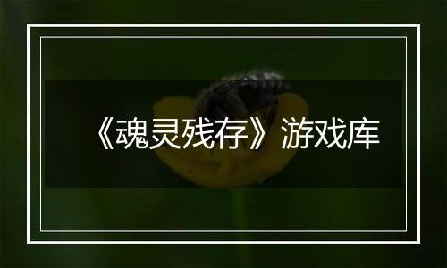《魂灵残存》游戏库