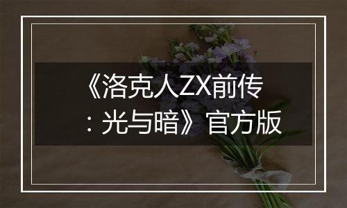 《洛克人ZX前传：光与暗》官方版