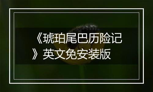 《琥珀尾巴历险记》英文免安装版