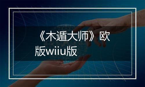 《木遁大师》欧版wiiu版