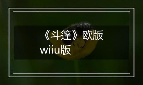 《斗篷》欧版wiiu版