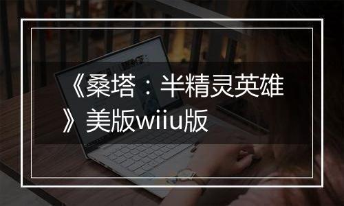 《桑塔：半精灵英雄》美版wiiu版