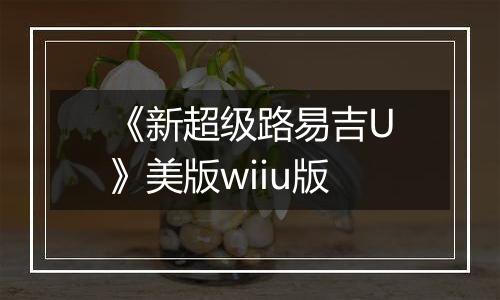 《新超级路易吉U》美版wiiu版